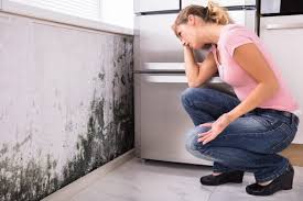 Best Residential Mold Inspection & Testing  in Bensenvle, IL